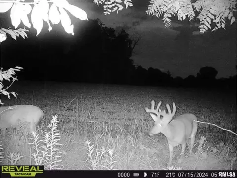Other - 10965 E 700th Ave, Watson, IL 62473 photo 31 of 66