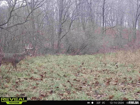 Other - 10965 E 700th Ave, Watson, IL 62473 photo 49 of 66