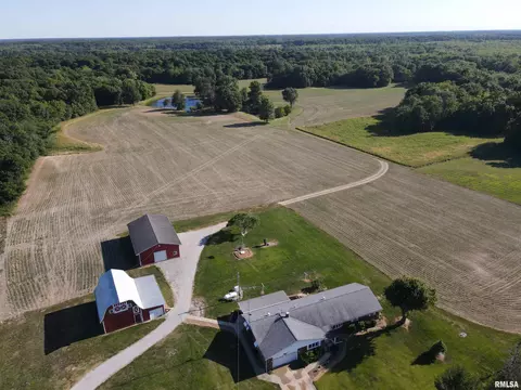 View/Area - 10965 E 700th Ave, Watson, IL 62473 photo 3 of 10