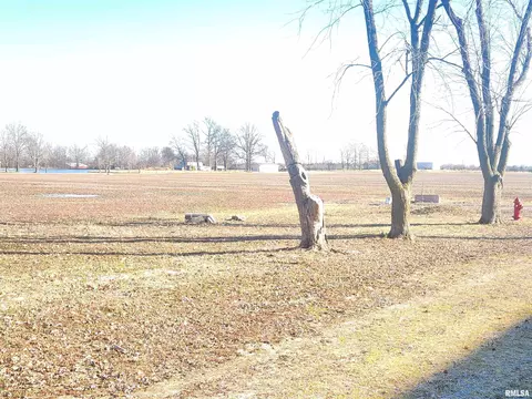 239 E 5th St, Cutler, IL 62238 photo 37
