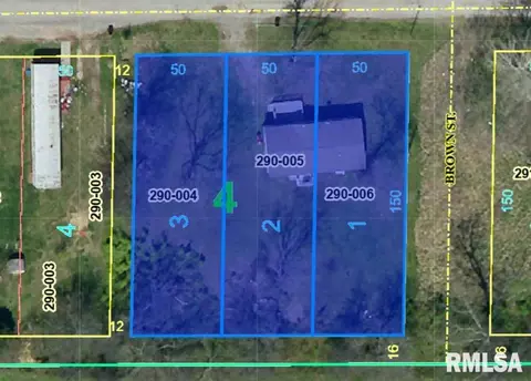 309 Cuma St, Springerton, IL 62887 photo 21