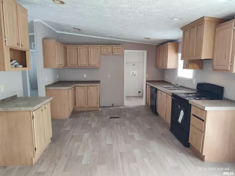 309 Cuma St, Springerton, IL 62887 photo 10