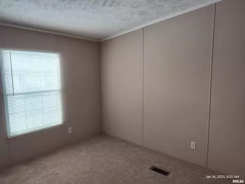 309 Cuma St, Springerton, IL 62887 photo 19