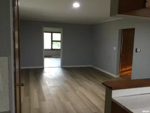 311 E Poplar St, Cobden, IL 62920 photo 6