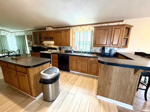 884 Spring Dr, Murphysboro, IL 62966 photo 4