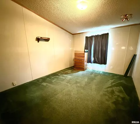 884 Spring Dr, Murphysboro, IL 62966 photo 15