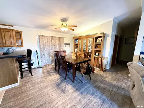 884 Spring Dr, Murphysboro, IL 62966 photo 6