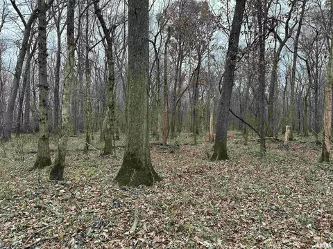 000 Seavers Rd, Iuka, IL 62849 photo 2