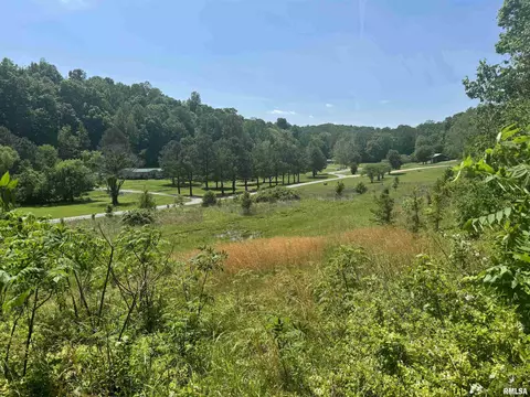 000 Pleasant Valley Ln, Tamms, IL 62988