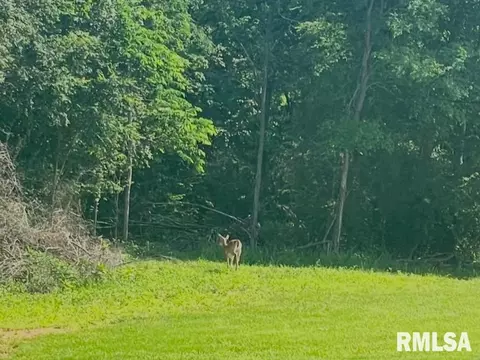 000 N America Rd, Galatia, IL 62935