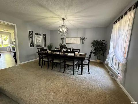 1815 Wolff Dr, Marion, IL 62959 photo 8