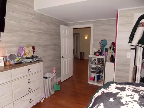 3255 Glacier Ln, Centralia, IL 62801 photo 59