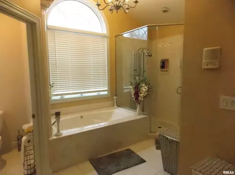 3255 Glacier Ln, Centralia, IL 62801 photo 33