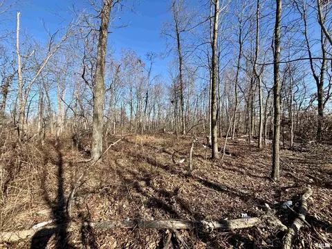 000 Bailey Rd, Salem, IL 62881 photo 15