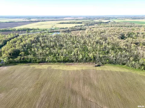 000 Bailey Rd, Salem, IL 62881 photo 9