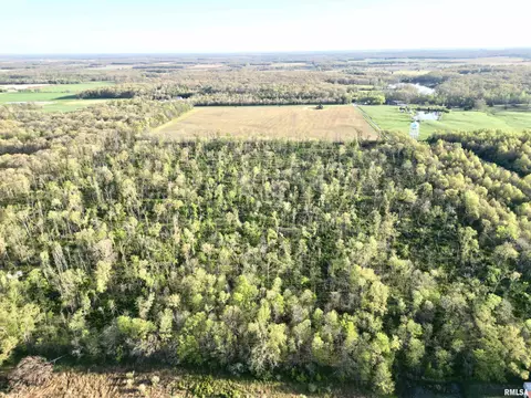 000 Bailey Rd, Salem, IL 62881 photo 3