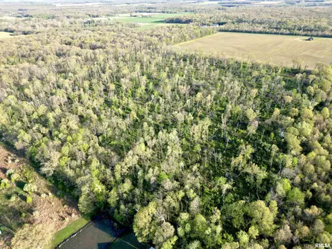000 Bailey Rd, Salem, IL 62881 photo 4