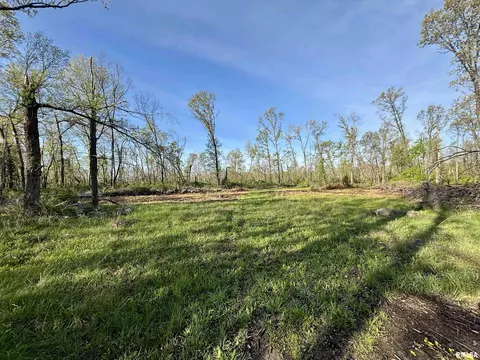 000 Bailey Rd, Salem, IL 62881 photo 14