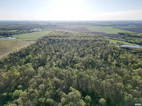 000 Bailey Rd, Salem, IL 62881 photo 6