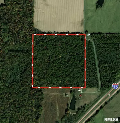 000 Bailey Rd, Salem, IL 62881 photo 17