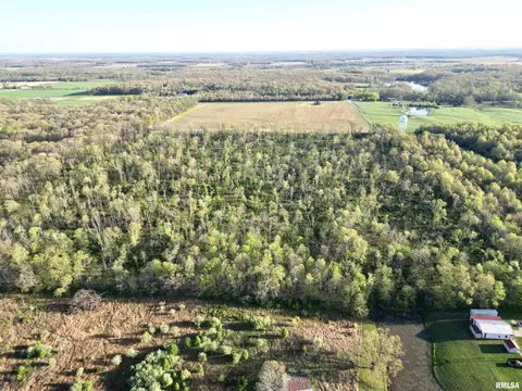 000 Bailey Rd, Salem, IL 62881 photo 8