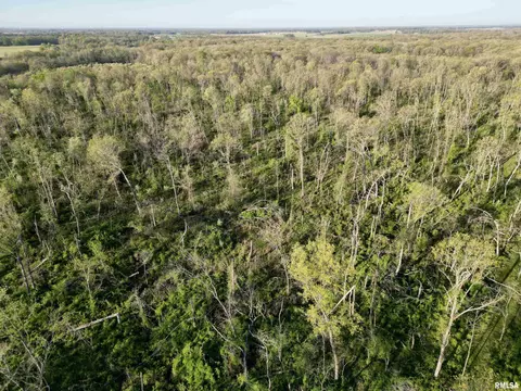 000 Bailey Rd, Salem, IL 62881 photo 11
