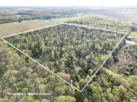 000 Bailey Rd, Salem, IL 62881 photo 2