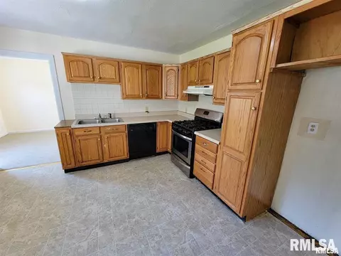 1033 N State Rd, Flora, IL 62839 photo 15