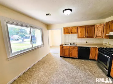 1033 N State Rd, Flora, IL 62839 photo 16