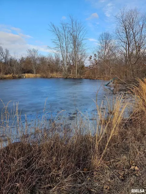 17118 E Ranch Rd, Mount Vernon, IL 62864 photo 5