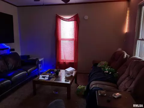 17169 Jackson St, Logan, IL 62856 photo 5