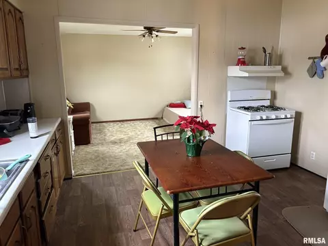 17169 Jackson St, Logan, IL 62856 photo 9