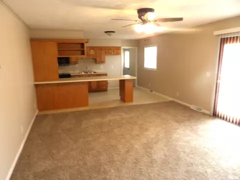 1008 Glendale St, Benton, IL 62812 photo 7