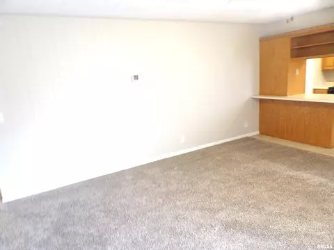 1008 Glendale St, Benton, IL 62812 photo 11