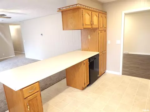1008 Glendale St, Benton, IL 62812 photo 9