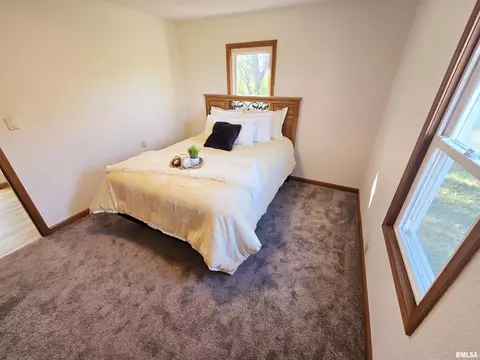 12266 E Violet Rd, Mount Vernon, IL 62864 photo 26