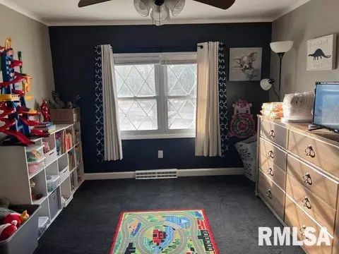45 Candy Ln, Murphysboro, IL 62966 photo 24