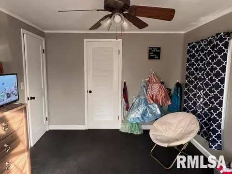 45 Candy Ln, Murphysboro, IL 62966 photo 23