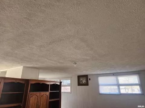 311 W Helen Ave, Christopher, IL 62822 photo 26