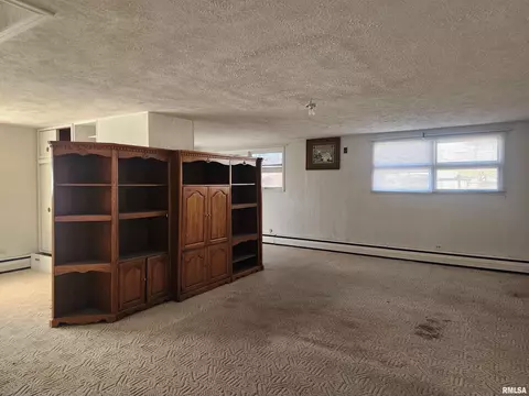 311 W Helen Ave, Christopher, IL 62822 photo 27