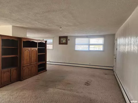 311 W Helen Ave, Christopher, IL 62822 photo 28