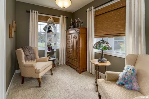 11861 Stephen Dr, Marion, IL 62959 photo 18