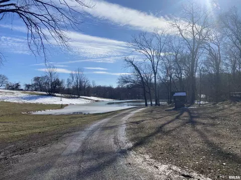 10137 Ford Rd, Junction, IL 62954 photo 12