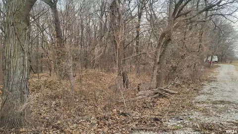 679 N Johnson St, Kell, IL 62853 photo 5