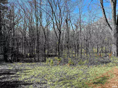 875 Jim Town Loop, Anna, IL 62906 photo 27