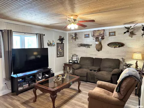 875 Jim Town Loop, Anna, IL 62906 photo 7