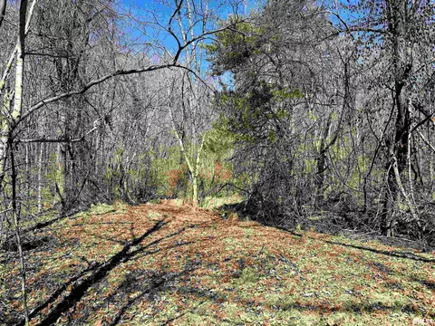875 Jim Town Loop, Anna, IL 62906 photo 28