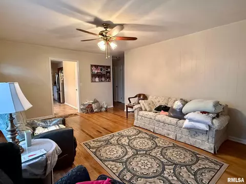 46 Jon St, Metropolis, IL 62960 photo 4