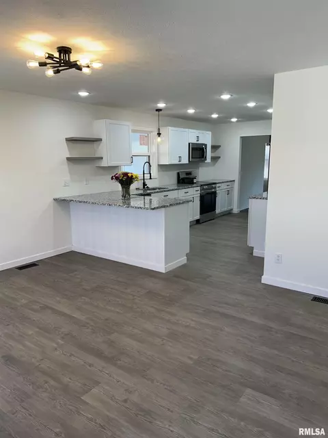 455 E Cedar Ave, Du Quoin, IL 62832 photo 3