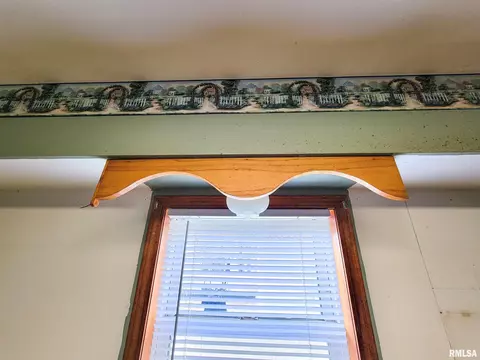 Other - 437 S Main St, Flora, IL 62839 photo 22 of 46